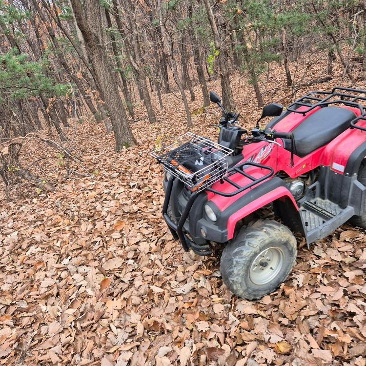 atv 사발이 올코트125 이미지