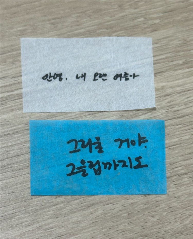 새상품) 아이유 팬콘 그립톡&다육이 키링&포카 프레임 +ID 카드+컨페티 이미지