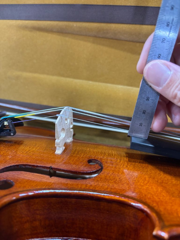 몬테 K 바이올린 팝니다 (4/4 사이즈, 급처, only body) 이미지