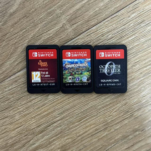 닌텐도 스위치 칩 잇테이크투 오버쿡 옥토패스 트래블러0