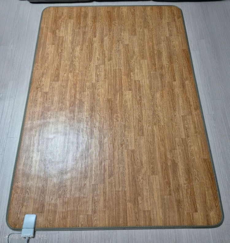 일월 온열 거실 카페트 매트 전기카페트--0