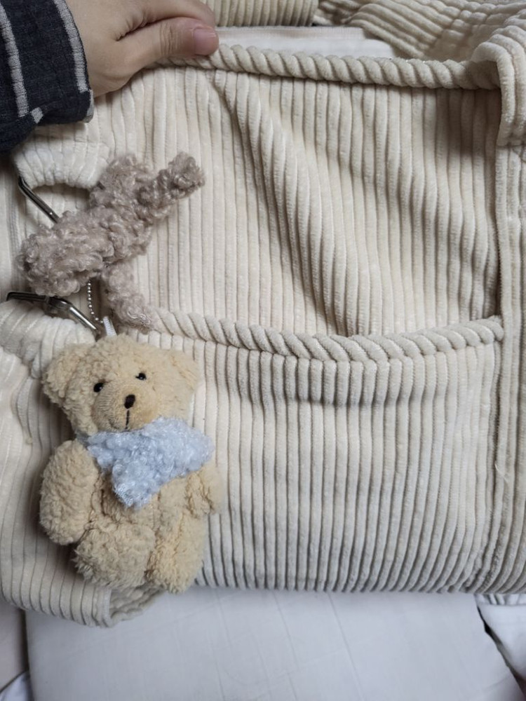 강아지이동가방 바비아나 아지백큐브m--3