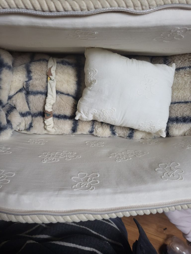 강아지이동가방 바비아나 아지백큐브m--6