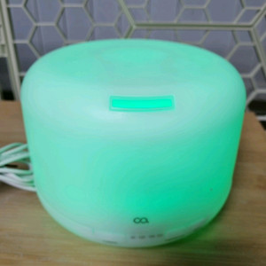 오아 무드 가습기 500ml OA-HM210