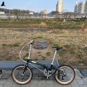 다혼 보드워크 D8 플러스 판매