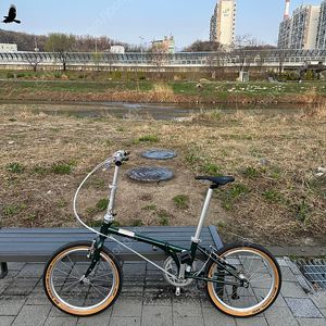 다혼 보드워크 D8 플러스 판매