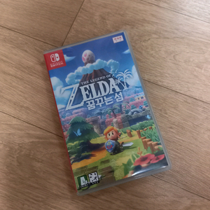 닌텐도 젤다의 전설 지혜의 투영