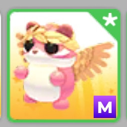 입양하세요 메가 아기천사 다람쥐 이미지