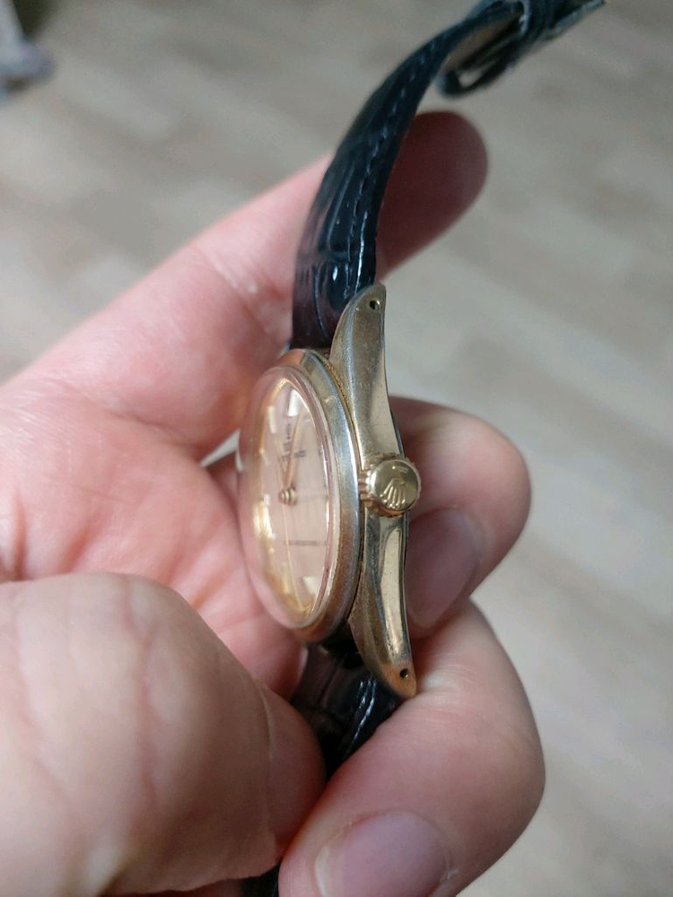 튜더프린스 이미지