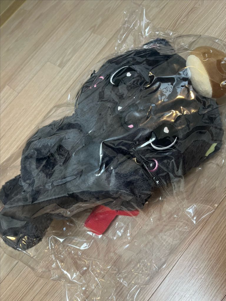 엔시티 위시 로그인 쿠리 가방 리쿠 포카 포함 이미지