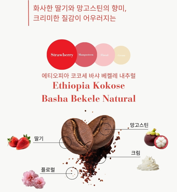 브라운체리 드립백 커피 8개입 x 3박스 세트 미개봉 새제품 에티오피아 콜롬비아 디카페인--7