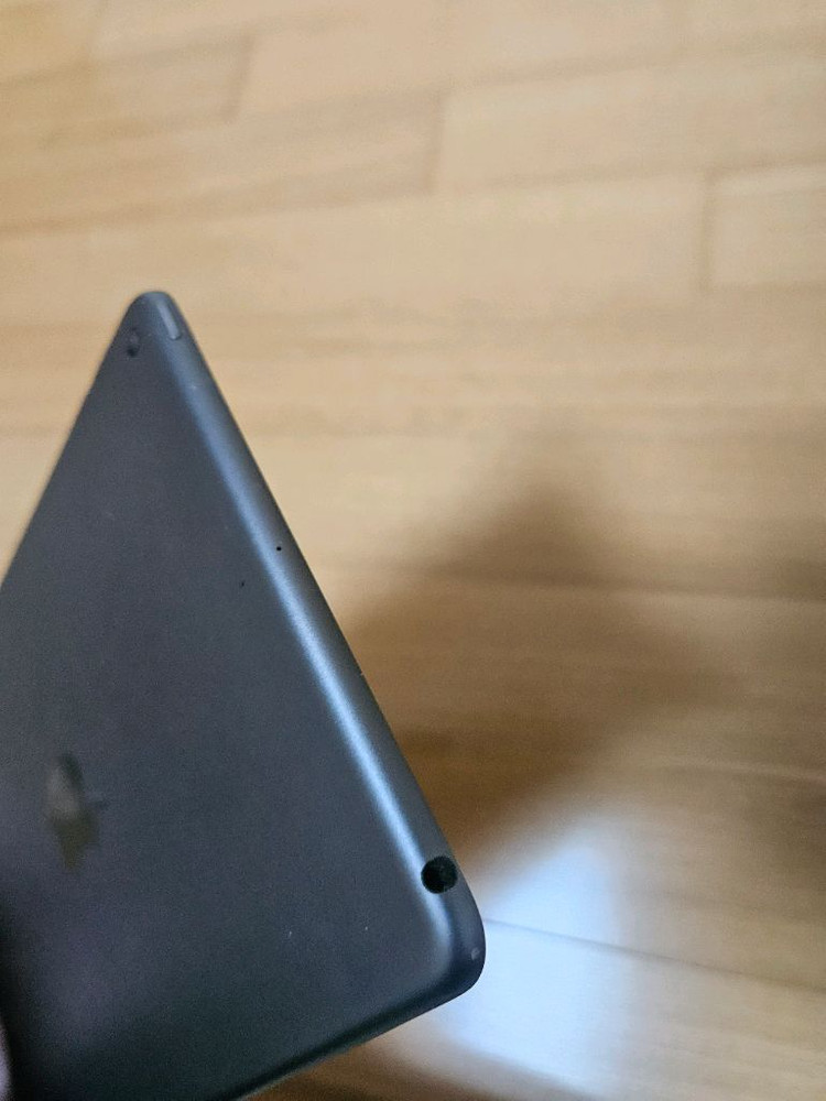 아이패드미니5 64GB wifi--8