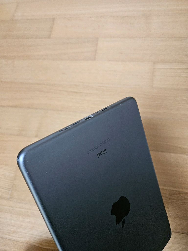 아이패드미니5 64GB wifi--5