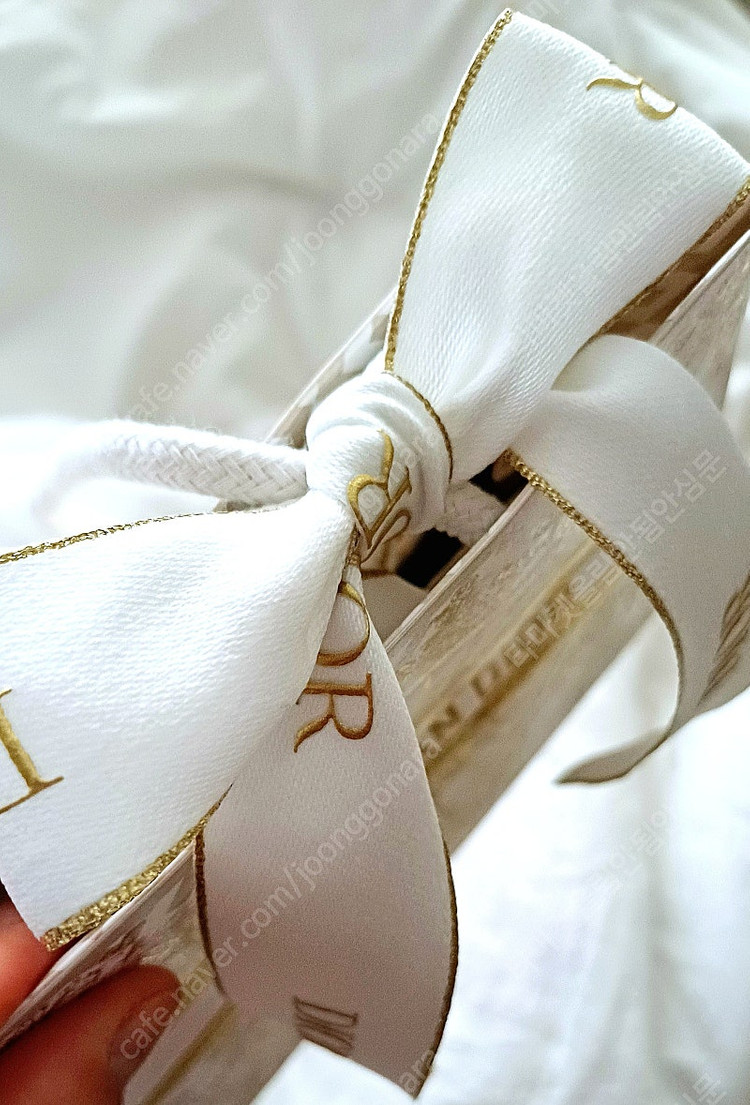 선물포장 단종 홀리데이 디올 어딕트 립스틱 케이스 쇼핑백 이미지