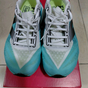 뉴발란스 카본화 230mm 엘리트 v4 wrcelct4 런닝화 러닝화