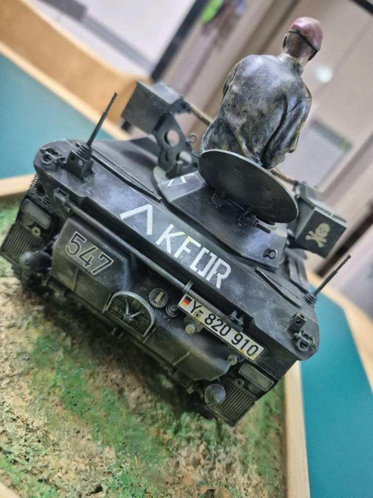 *각종교신가능*밀리터리프라모델(대형1/16RC카탱크호환)독일연방*비젤 Mk2.0정밀도색*비네트작~바람에언덕에서--4