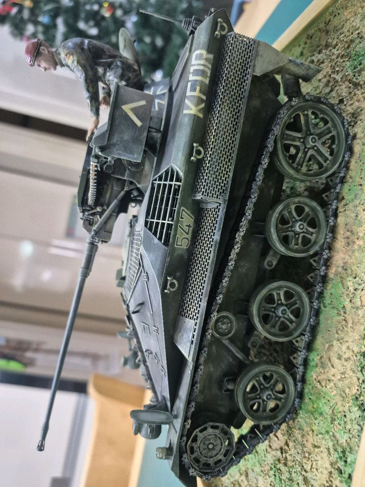 *각종교신가능*밀리터리프라모델(대형1/16RC카탱크호환)독일연방*비젤 Mk2.0정밀도색*비네트작~바람에언덕에서--8