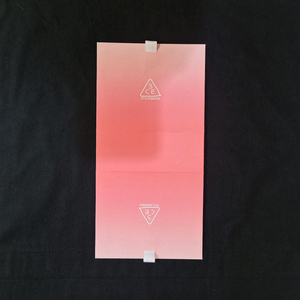 [정품]3CE 쇼핑백,3CE 케이스,3CE 립스틱,3CE 블러쉬,쓰리씨이