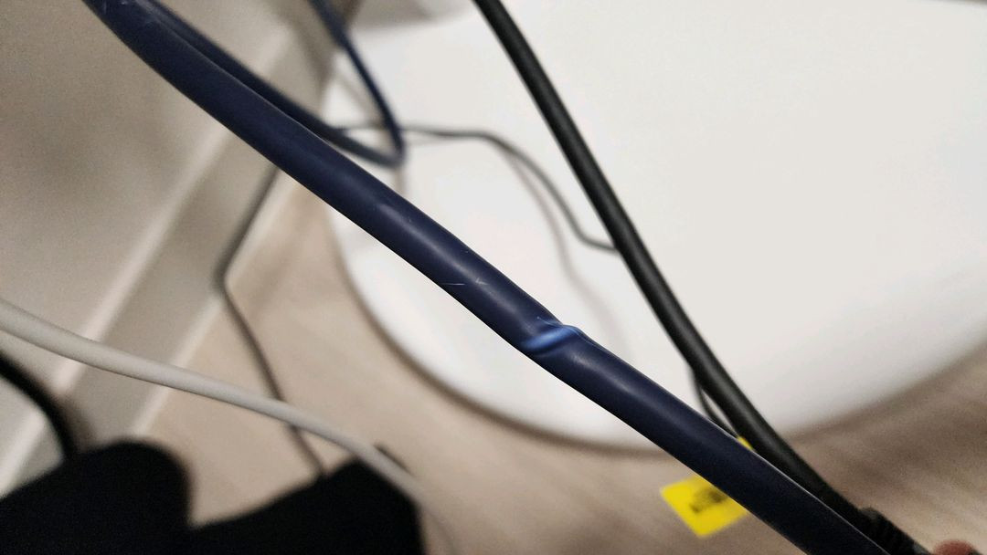 강원전자 CAT.8 SSTP 랜케이블 1M 4개 일괄--1