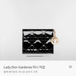 레이디 디올 미니 지갑