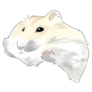 반려동물 애완동물 그려드려요(고양이 강아지 햄스터 도마뱀 앵무새 금붕어 등등) 이미지