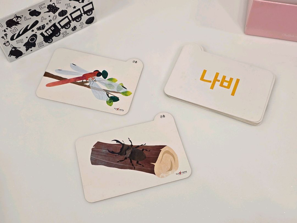 탁조 유아 한글낱말카드 100단어 세이펜--2