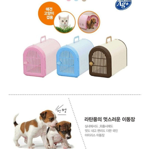 반려동물 이동장 이미지