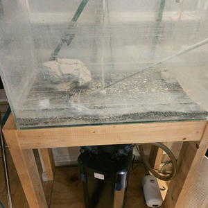 45큐브 수족관 세트