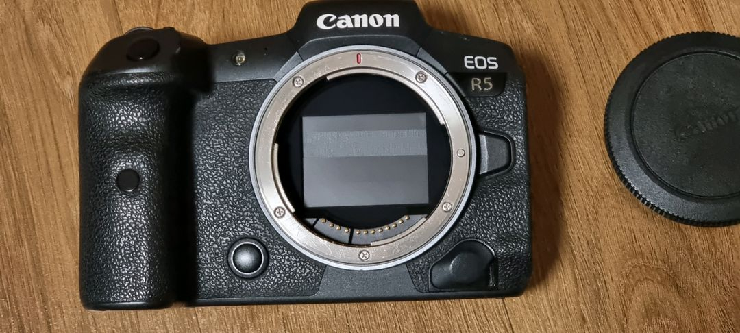 캐논 EOS R5--1