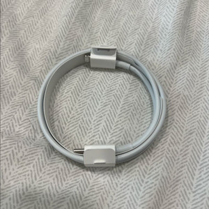 애플 c to 라이트닝 케이블 정품