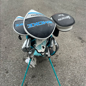 중상급 골프채풀세트(퍼터 전세계 한정 50개)일괄