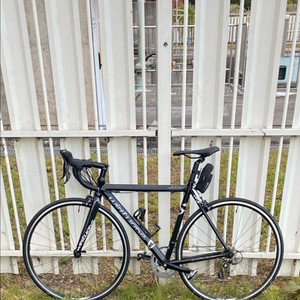 벨로라인 수평탑로드 52사이즈