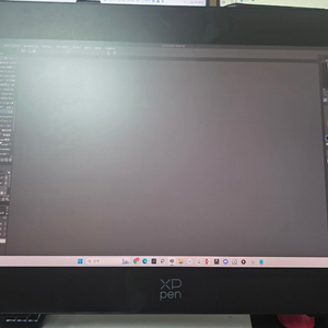 엑스피펜 XPPen Artist Pro 24 (2세대) 165Hz 2.5K