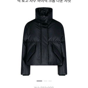 메종마르지엘라 페이크레더 다운패딩 55.66