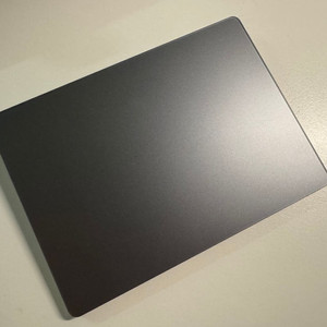 애플 매직 트랙패드 2 스페이스 그레이