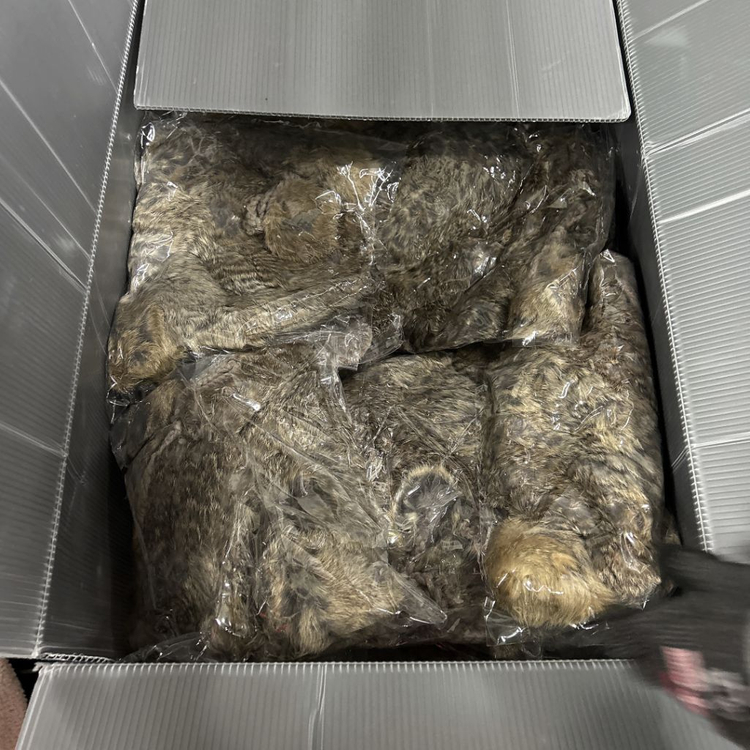 [새제품/ 대량구매가능!] 겨울용품 모자 니트 목도리--1