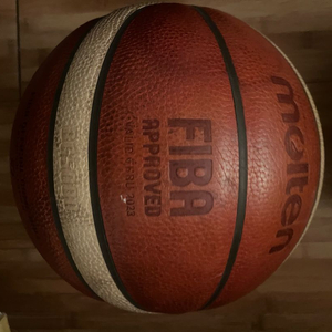 몰텐, 조던 농구공 공인구들 판매합니다 이미지