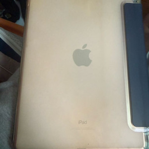 아이패드 프로 10.5