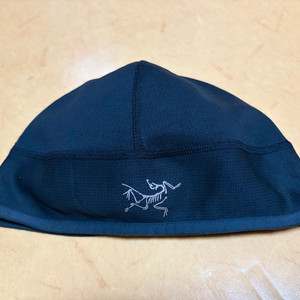 아크테릭스 폴라텍 비니