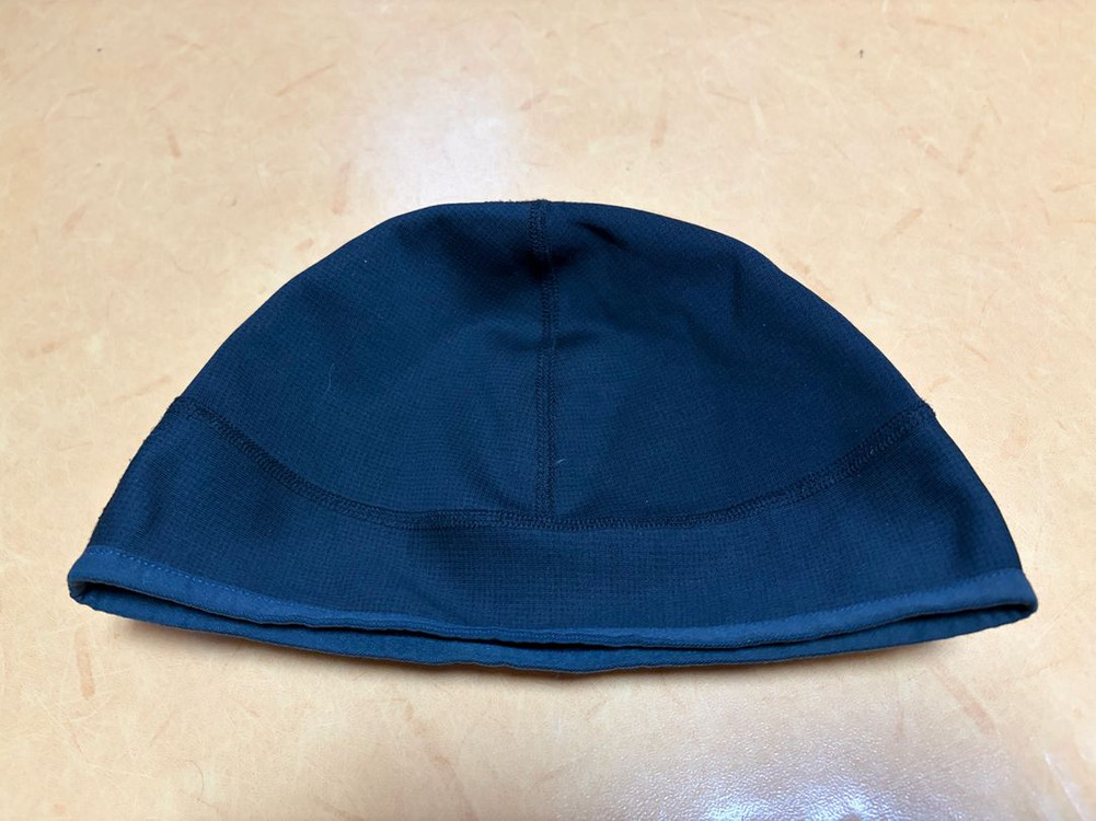 아크테릭스 폴라텍 비니--1