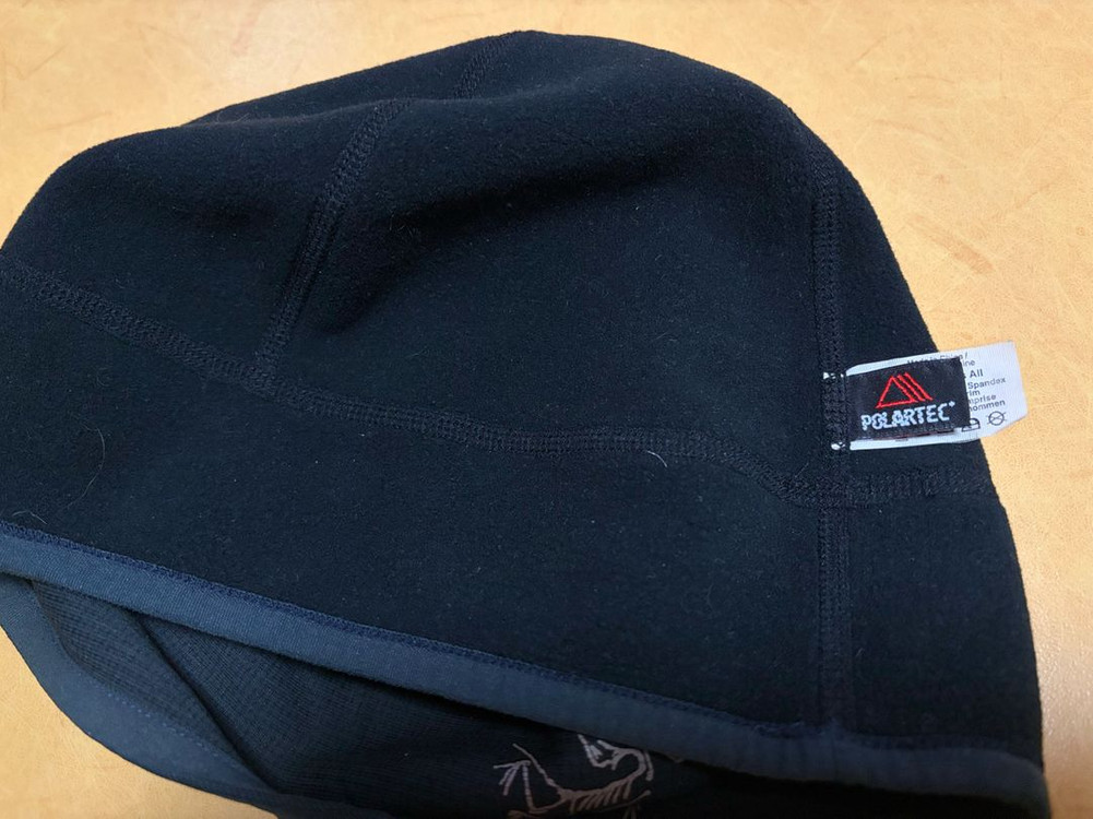 아크테릭스 폴라텍 비니--2