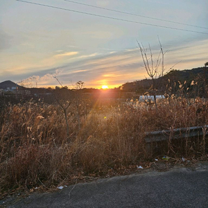 피망 뉴맞고 삽니다