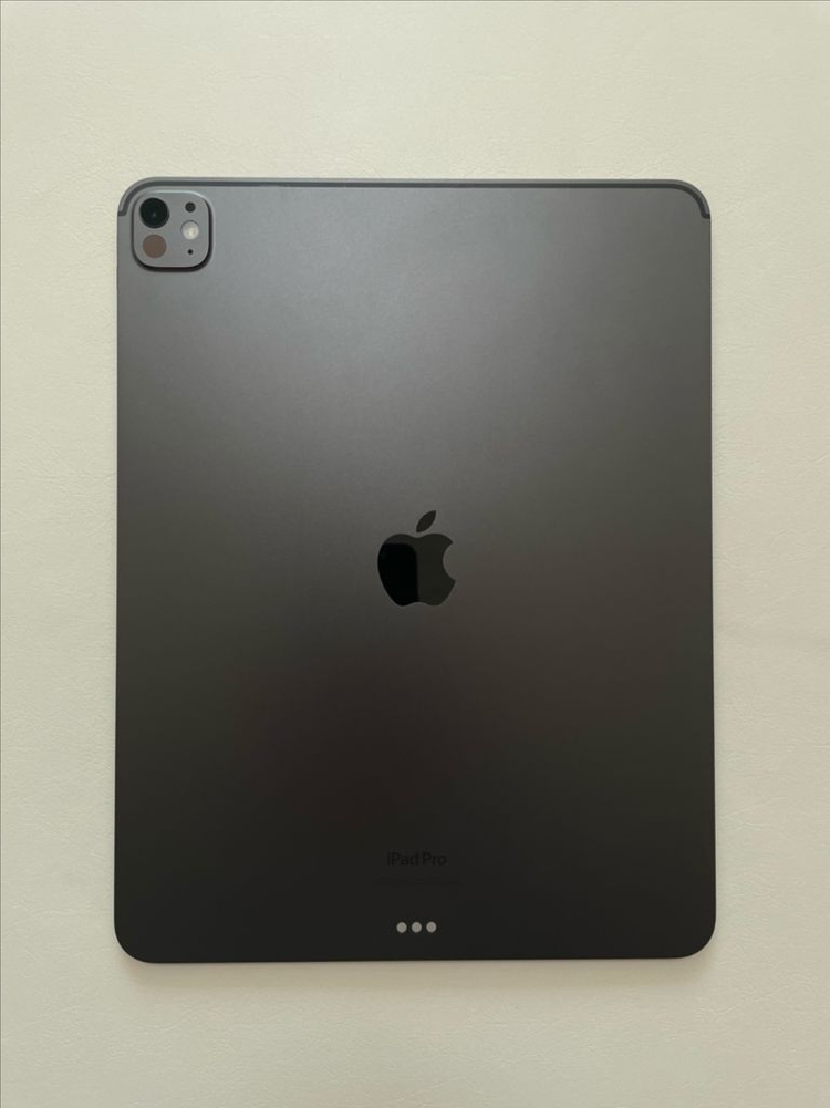 아이패드 프로 13 M4 256GB 이미지