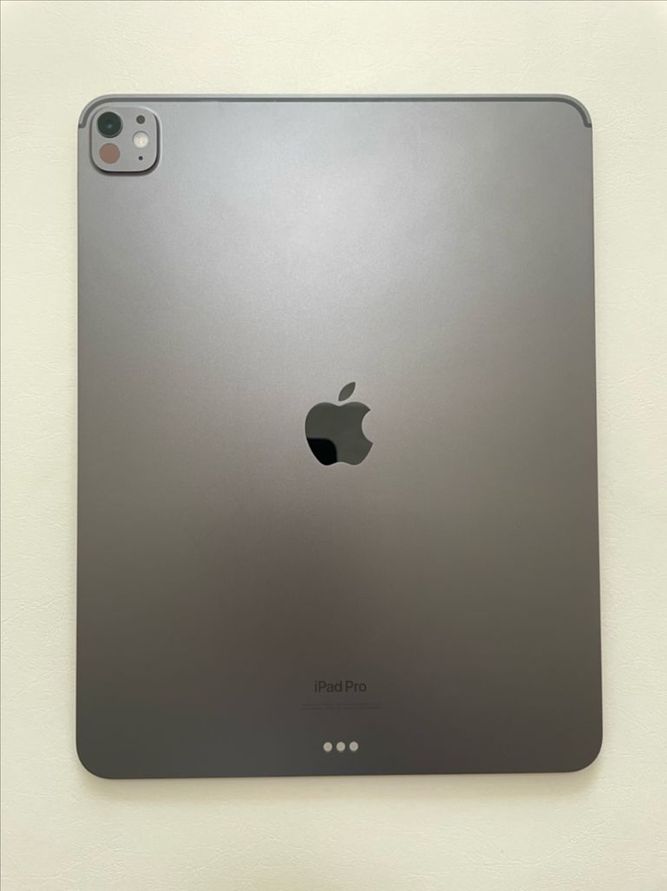 아이패드 프로 13 M4 256GB 이미지