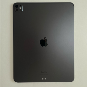 아이패드 프로 13 M4 256GB 이미지
