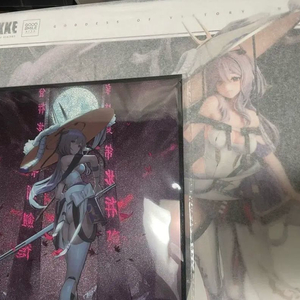 승리의여신 니케 굿스마일 홍련 특전o