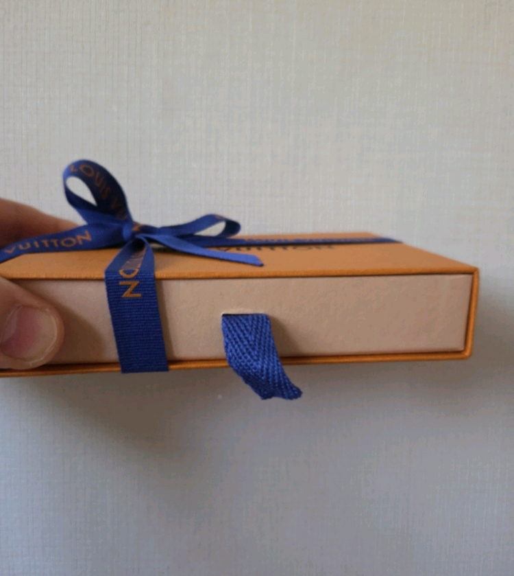 (새상품) 루이비통 쉐도우 네이비 오거나이저 카드지갑--5