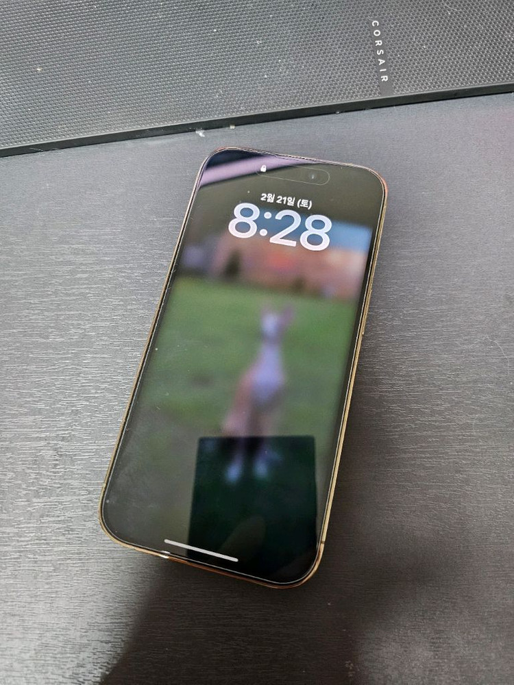 아이폰 14 프로 골드 128g 리퍼폰 이미지