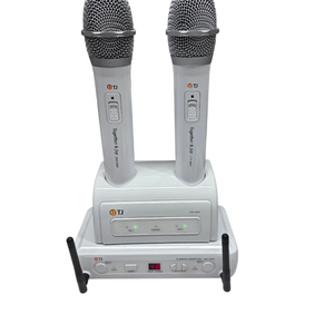 태진 무선마이크 (DWS-5800C)