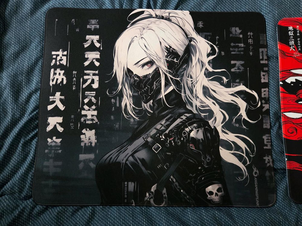 X-raypad 오리진프로 케르베로스 마우스패드,AXGAMINGPUNK 게이밍 cloud 마우스패드 팝니다--1